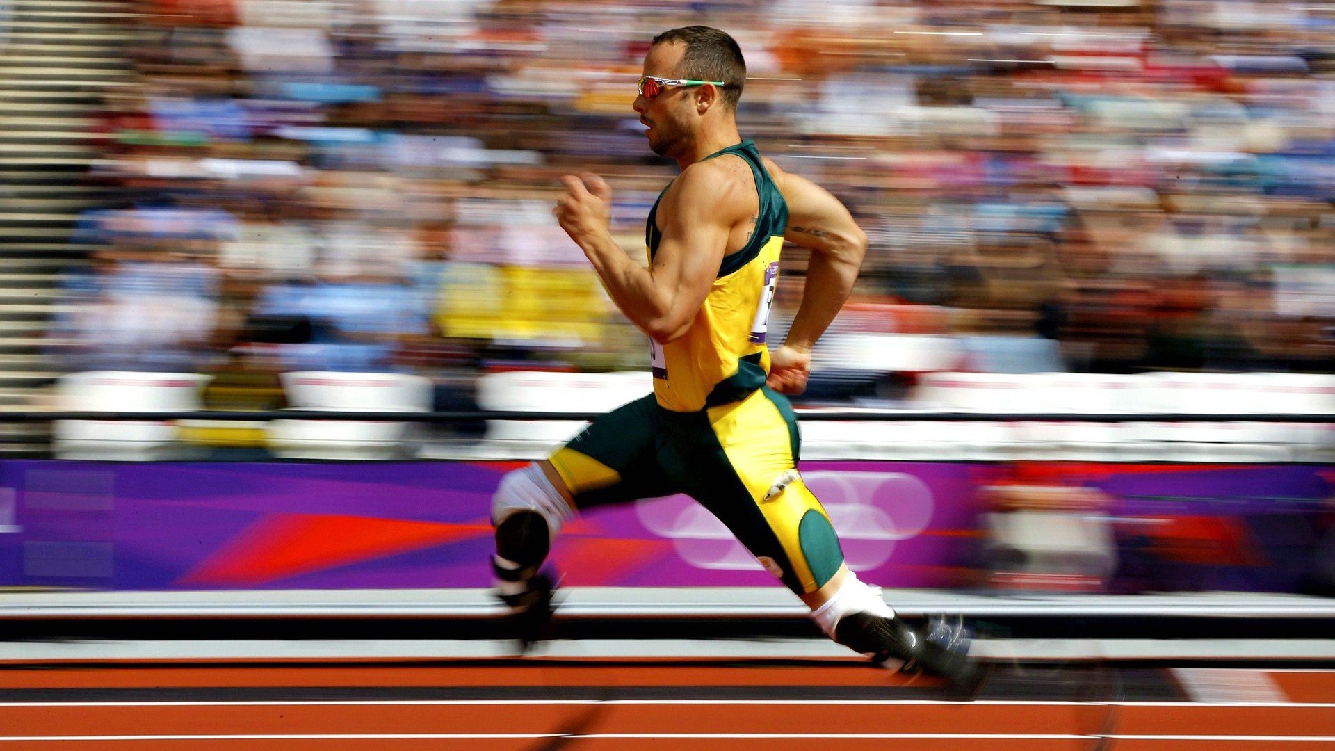 美国乒乓队未来展望：如何在世界乒坛占有一席之地，美国乒乓球实力